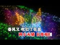 正云   往事只能回味 DJ版   MTV