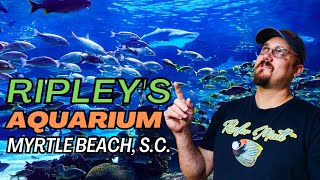 Ripley's Aquarium in Myrtle Beach!