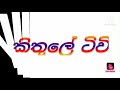 අලුත් මල් කඩන අයට පරණ මල් කඩපු අයට මේ මල් මතකද අනිවා බලන්න...