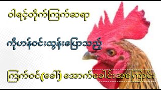 ကြက်ဝင်[ခေါ်] အောက် ခေါင်း