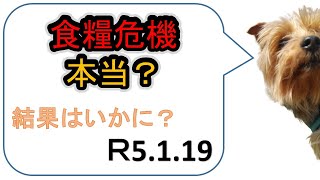 食糧危機はいつから？本当なの？調べてみよーっと。備蓄の準備にご活用ください。1月19日調べ。