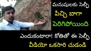 ఇతని సెల్ఫీ పిచ్చి చుడండి || Man Selfie Vedio With Monkey || Neha Iyer