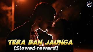 Tera Ban Jaunga Lofi Song [Slowed reward] Kabir Singh Hindi Love Song Romantic Bollywood
