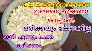 ചക്ക വെറുതെ കളയല്ലേ... ഇങ്ങനെ എടുത്തു വെച്ചാൽ ഇനി വർഷം മുഴുവൻ ചക്ക കഴിക്കാം | 3 Easy Tips