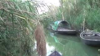 Amazon of Chupi Kasthashali Pakhiralay, Purbasthali, Burdwan, West Bengal