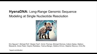 HyenaDNA: Long-Range Genomic Sequence Modeling at Single Nucleotide Resolution