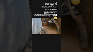 Please like  \u0026 subscribe  🙏 കൊല്ലാൻ പോയതാ തിരിച്ചു വരുമോ ആവോ?...🙄🥺