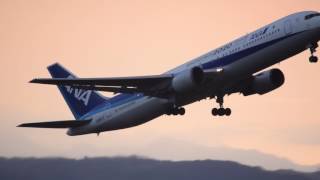 仙台国際空港　ANA B767-300　離陸