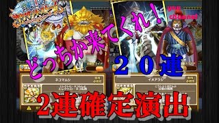 「サウスト」2連確定演出の２０連！ネコマムシの旦那に会いに行こう！