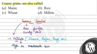 Coarse grains are also called (a) Maize (b) Rice (c) Wheat (d) Millets