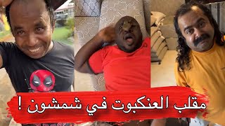 مايد الانصاري [364] مقلب العنكبوت في شمشون 😂💔