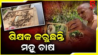 ପେଶା ଶିକ୍ଷକ, ନିଶା ଚାଷ କରିବା । ପନି ପରିବା ସହ କରୁଛନ୍ତି ମହୁ ଚାଷ