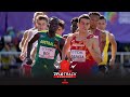 The World Champs Men's 800m Is Full Of Chaos And Madness