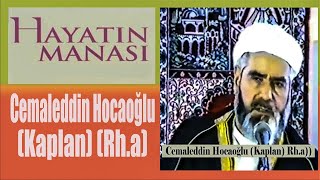 İslam'da Hayatın Özü - Cemaleddin Hocaoğlu (Kaplan)