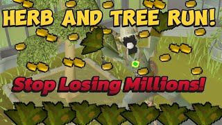Stop Losing Millions! The Ultimate OSRS Herb & Tree Run Guide 2025