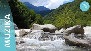 Životni ples - snažna glazba i svježina planinskog potoka