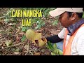 Masuk hutan mencari buah buahan liar_hidup dihutan.