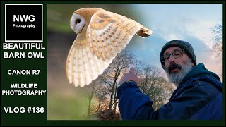 Beautiful Barn Owl - Canon R7 - Wildlife Photography Vlog #136