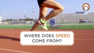 How can you increase your running speed? We have the answer to this $1,000,000 dollar question.