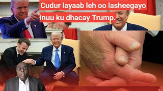 GALAB: Cudur layaab leh oo lasheegayo inuu ku dhacay Trump. Odaga ma udhamaatay, warbixintan daawo