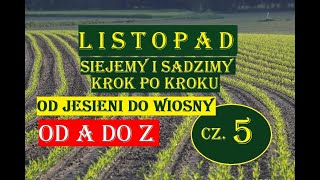 LISTOPAD -SIEJEMY I SADZIMY, KROK PO KROKU - OD JESIENI DO WIOSNY, OD A DO Z, CZ 5