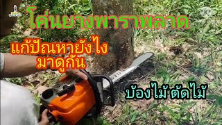 STIHL ms 180 โค่นไม้ยางพารา พลาด แก้ปัญหายังไง มาดูกัน