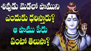 శివుడు మెడలో పామునేందుకు ధరిస్తాడు? ఆ పాము పేరు ఏంటీ?Why does LordSiva wear a snake around his neck?