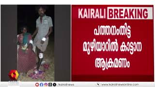 പത്തനംതിട്ട മൂഴിയാറിൽ കാട്ടാന ആക്രമണം;  ഒരു കുടുംബത്തിലെ മൂന്ന് പേര്‍ക്ക് പരുക്ക്| Pathanamthitta