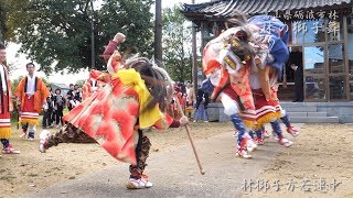 砺波市林地区 林の獅子舞 獅子舞奉納