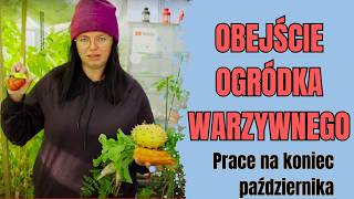 Obejście ogródka warzywnego. Prace na koniec października