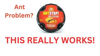 HOME DEFENCE Ant Stop! Bait Station, Destroys Ants and their Nests