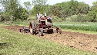 Farmall 560D With Krause 408 Disc \u0026 IH 401 Spring Tooth