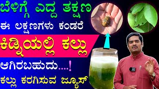 ಈ ಲಕ್ಷಣಗಳು ನಿಮ್ಮಲ್ಲಿದ್ರೆ ಖಂಡಿತಾ ನಿಮಗೆ Kidney Stone ಅಂತಾನೆ ಅರ್ಥ | Kidney Kallu Kannada