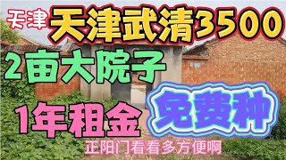 在天津武清1年租金3500大菜地2亩免费送，正阳门，交通便利