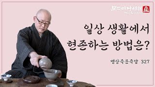 일상 생활에서 현존하는 방법은?ㅣ명상 즉문즉답 327회ㅣ혜안스님