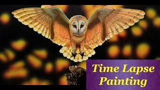 Barn Owl Time Lapse Painting w/ Elise