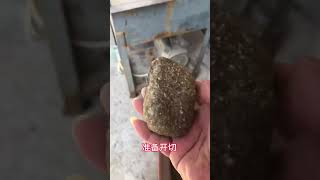 河南新鄉的郭總用12萬緬幣來挑戰切石頭。究竟這塊石頭會給郭總帶來意想不到的收穫，還是令人失望的結局#翡翠原石#原石切割#翡翠原石 #翡翠直播 #翡翠 #珠宝 #珠寶 #翡翠珠寶 #Shorts