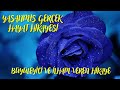 💥YAŞANMIŞ GERÇEK HAYAT HİKAYESİ ''Veda Konuşması''  💫 Pandora Medya naringl Sesli Kitap