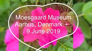 Moesgaard Museum  Aarhus, Denmark 🇩🇰  9 June 2019