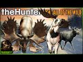 Chasing The Great One Moose Got Us INSANE Rares & Diamonds! Call of the wild