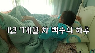 (30대 백수의 하루)과연 1년 후 어떤 모습일까/농구하고/카페가고/백수브이로그(춘천카페 )