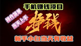 2023最新兼职副业赚钱|网赚 项目|适合所有人的赚钱项目|当天学会立马赚取800元。零风险的网赚项目实测视频教程