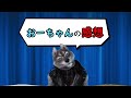 サムスンが勝負！？韓国政府今後２０年間で３００兆ウォンを７１０万平方メートル規模の先端システム半導体クラスターに投資！