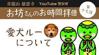 【青龍山 慈恩寺】お坊さんのお時間拝借　第十七話　愛犬ルーについて