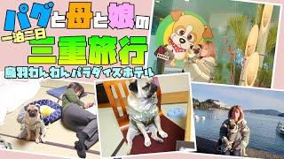 【鳥羽わんわんパラダイス】パグと初めての一泊二日、三重旅行～♪【パグのぺろ吉pug】