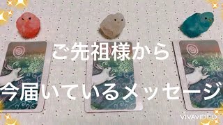 【見た時がタイミング】ご先祖様から、今あなたに届いているメッセージ＆引き継ぐ幸福🌷