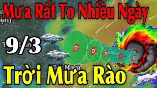 Mưa Rất To Nhiều Ngày Trời Mưa Rào | Dự Báo Thời Tiết Ngày 09/3/2025 | Dự Báo Thời Tiết 3 ngày tới