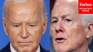 'An Unmitigated Disaster': John Cornyn Sounds Off On Biden Administration Over Border Security