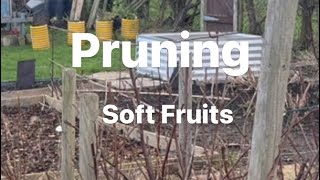 Pruning- Soft Fruit