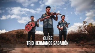 Quise - Trio Hermanos Sagahón (AUDIO)